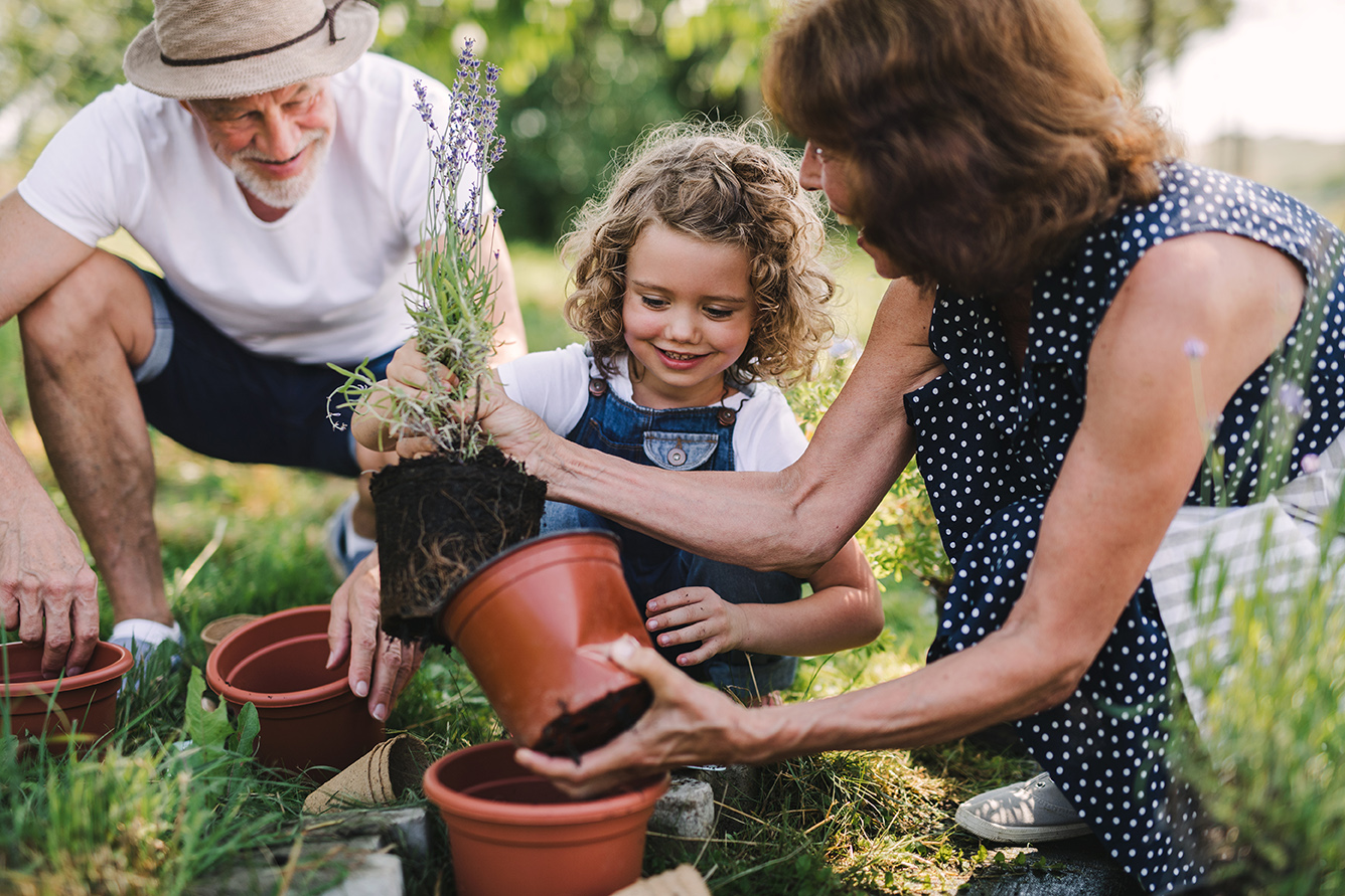 Estate and Legacy Planning Services | East Avenue Capital